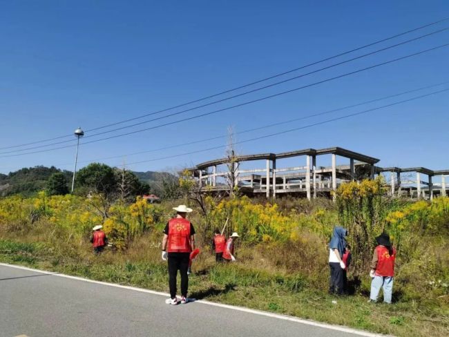 不要碰！不要养！多地已出现，发现请上报