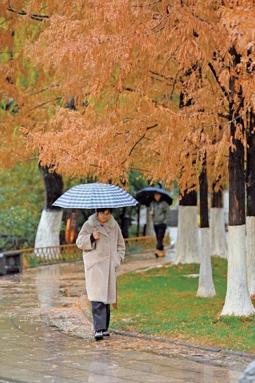 山东迎来今冬初雪 寒潮影响持续降温