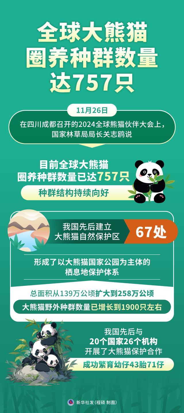 全球大熊猫圈养种群数量达757只 种群结构持续向好