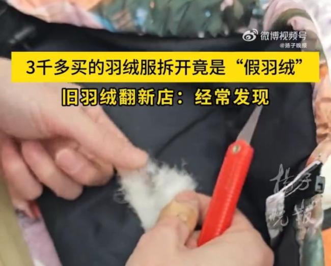 千元羽绒服拆开发现全是飞丝 伪劣产品引发热议